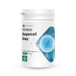  Gheos Supercell Day